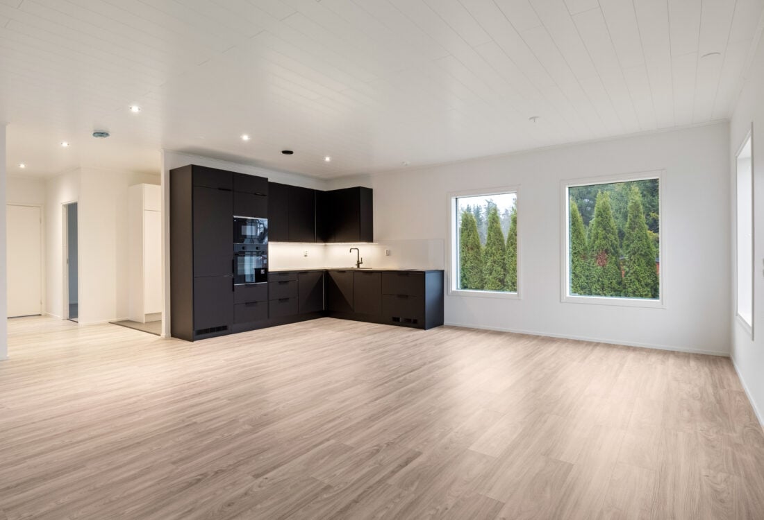 Haapasalo vinyylilankku.